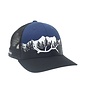 Rep Your Water RepYourWater Dark Timber Hat