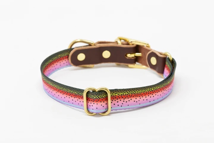 Whiskey 2025 dog collar