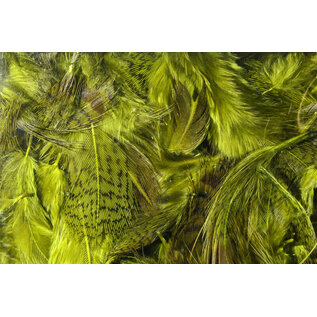 Hareline Dubbin Premium Hungarian Partridge Feathers