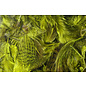 Hareline Dubbin Premium Hungarian Partridge Feathers