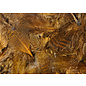 Hareline Dubbin Premium Hungarian Partridge Feathers