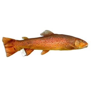 Fish Target Trout
