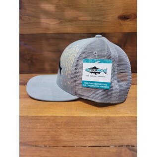 Rep Your Water Brook Trout Flank Hat