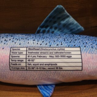 Fish Target Steelhead