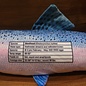 Fish Target Steelhead