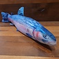 Fish Target Steelhead