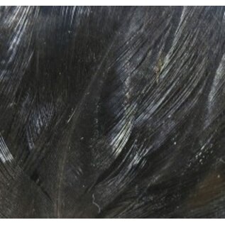 Hareline Dubbin Coq De Leon Feathers -
