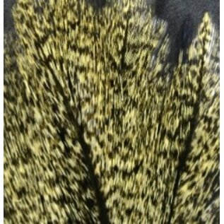 Hareline Dubbin Coq De Leon Feathers -