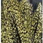 Hareline Dubbin Coq De Leon Feathers -