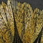 Hareline Dubbin Coq De Leon Feathers -