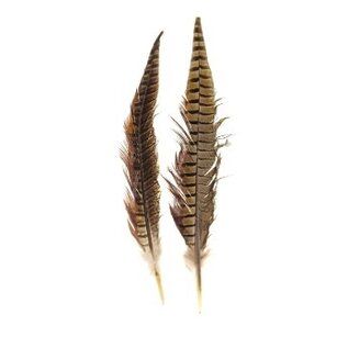 Hareline Dubbin Ringneck Pheasant Tail - Natural