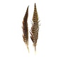 Hareline Dubbin Ringneck Pheasant Tail - Natural