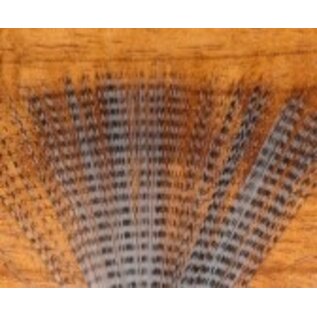 Hareline Dubbin Barred Mayfly Tail - Light Dun Black Barred