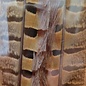 Hareline Dubbin Ringneck Pheasant Tail - Natural