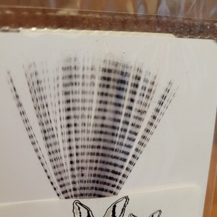 Hareline Dubbin Barred Mayfly Tail - Light Dun Black Barred