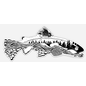 Nate Karnes The Remedy - Elements of Fly Fishing Decal