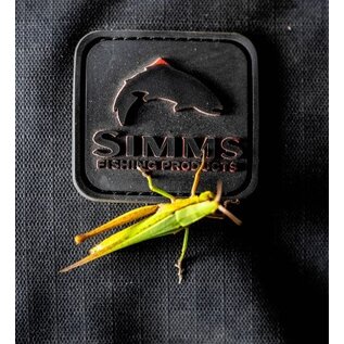 Simms Fishing Tailwind 100L Roller - Black