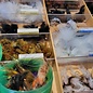 RIGS Hand Picked Streamer Selection