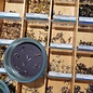 Gunnison River Hand Picked Fly Selection
