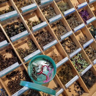 Hand Picked Fly Selection