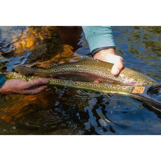 Fishpond Nomad Middle Fork Net