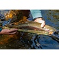Fishpond Nomad Middle Fork Net