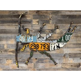 Cody's Fish Antique Mixed Western Stonefly License Plate Art