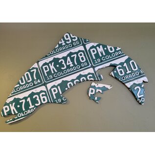 Cody's Fish Colorado License Plate Trout Art