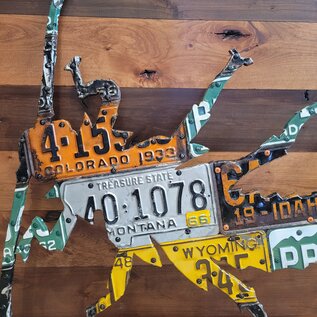 Cody's Fish Antique Mixed Western Stonefly License Plate Art