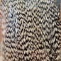 Umpqua Feather Merchants Metz Feathers #2 Half Neck