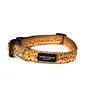 Hatch Outdoors Hatch Outdoors Dog Leash and Collar