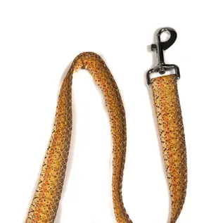 Hatch Outdoors Hatch Outdoors Dog Leash and Collar
