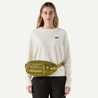 Patagonia Patagonia Black Hole Waist Pack