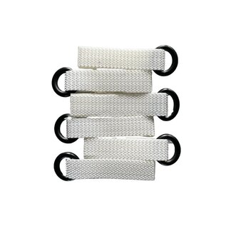 Fish Target Chinook Salmon