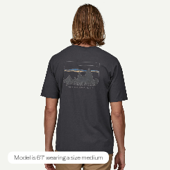 PATAGONIA 73' SKYLINE ORGANIC T-SHIRT