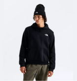 NORTH FACE EVOLUTION DESCENT REG HOODIE