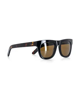 Ashbury Ashbury - DAVIDSON - Tortoise w/ Brown