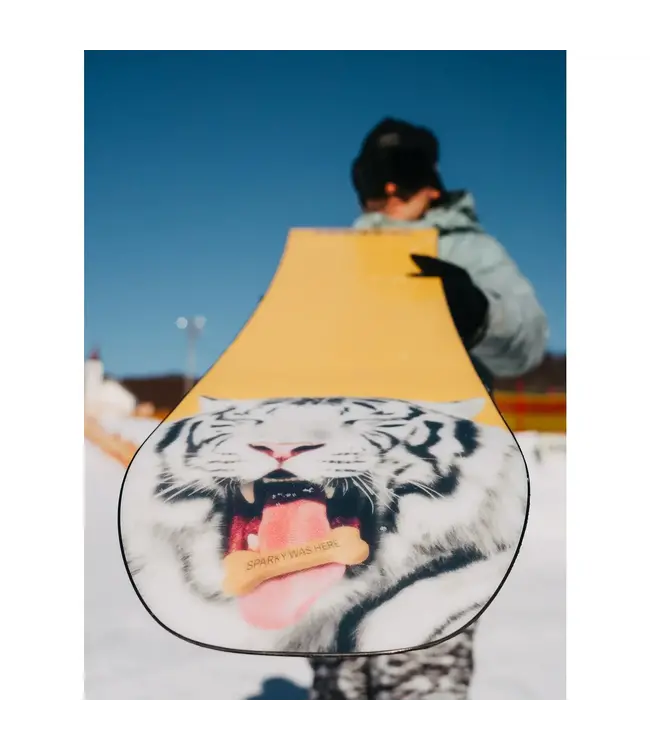 Burton - PROCESS CAMBER (2025) - 157cm