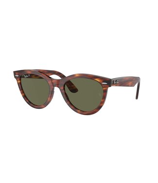 Ray-Ban Ray-Ban - WAYFARER WAY 51 - Striped Havana w/ POLAR Green