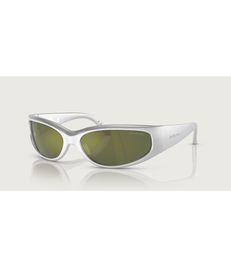 Arnette - CATFISH - Metallic Silver w/ Dark Green Mirror