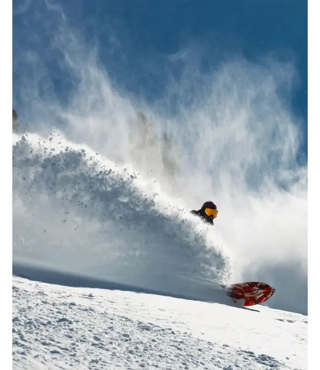 JONES - MERCURY FASE* Bindings - Eclipse Black -