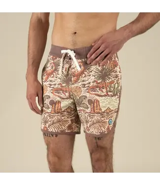 SENDERO Provisions Co. Sendero - Mens POINT BAR BOARDSHORTS -  El Mojave -