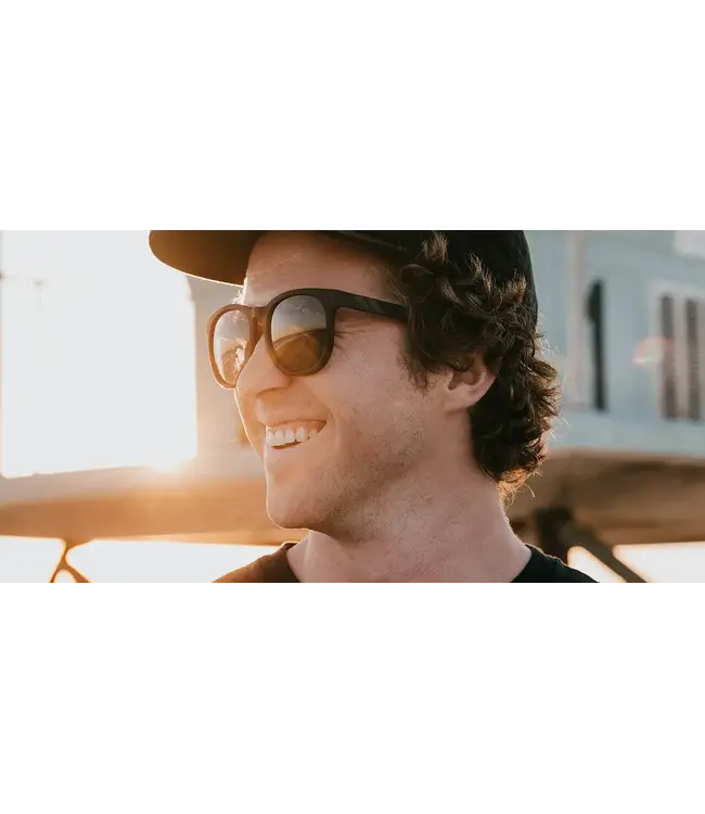 Blenders - H SERIES - POLAR Moon Dawg