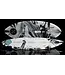 HyperLite - HI-FI WakeSURF (2026) - 53"