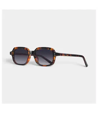 Ashbury Ashbury - AZUL - Tortoise w/ Gradient Grey
