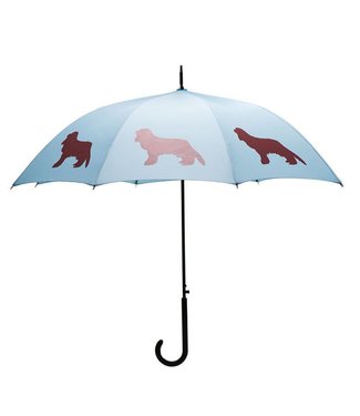 Cavalier King Charles Blue/Marsala