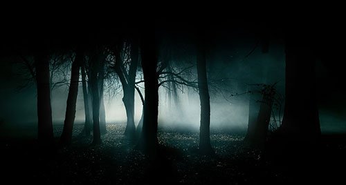 13 Forêts hantées aux quatre coins du monde
