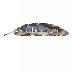 *BMW "Choctaw" Feather  Metal Artwork Small