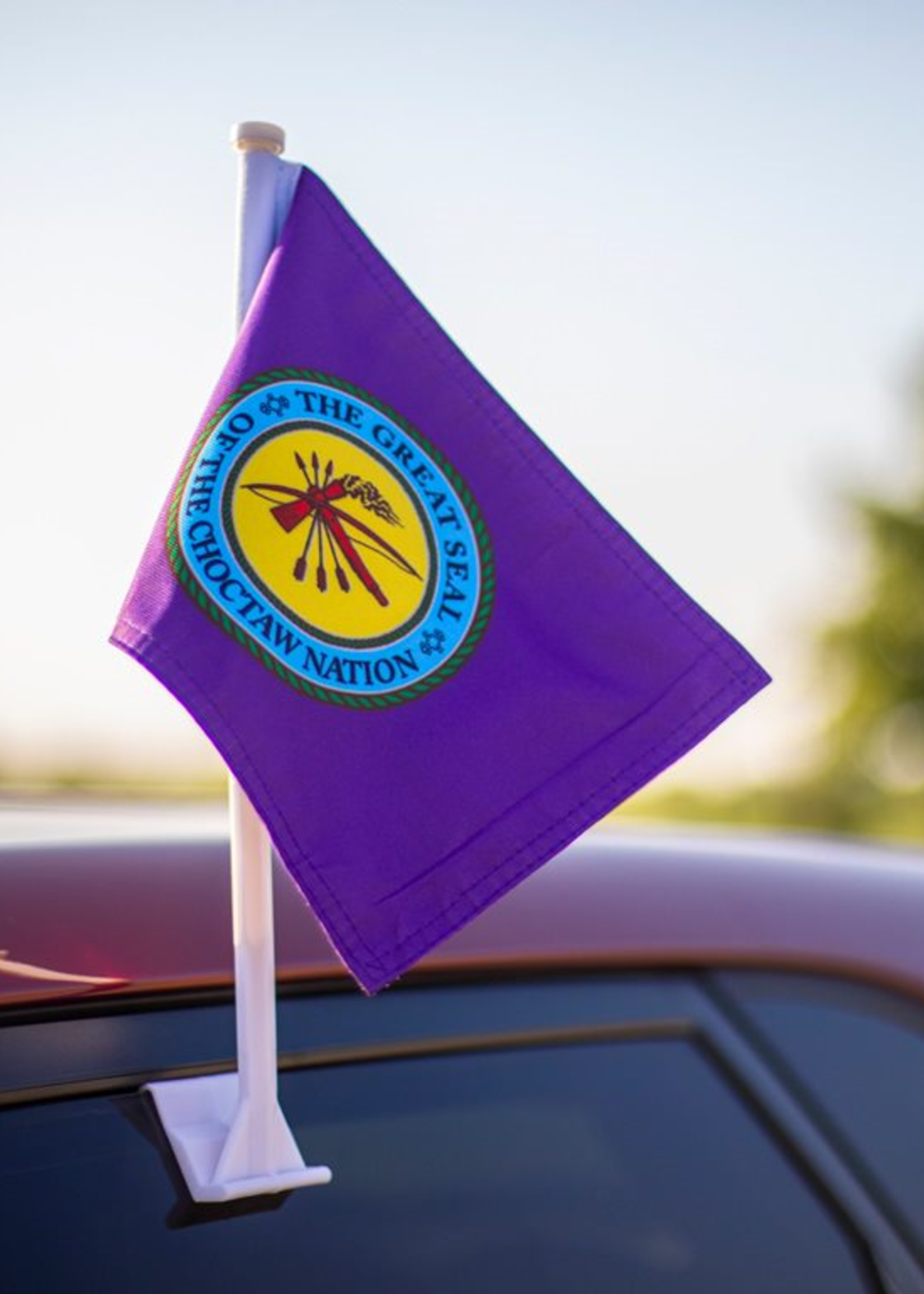 Official Choctaw Flag edu.svet.gob.gt