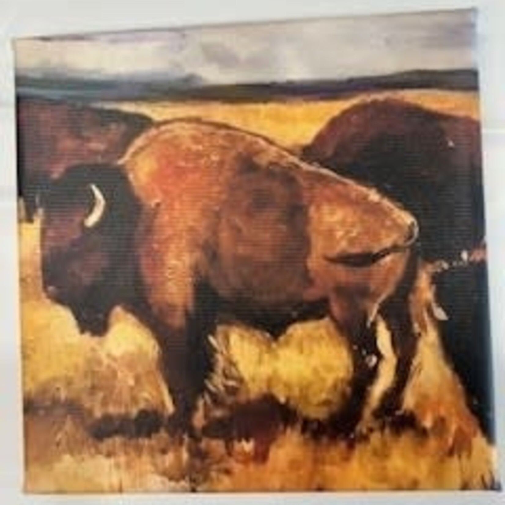 *JU 12 Mile Praire- Two 8"x8 " Stretched giclee Canvas Print"